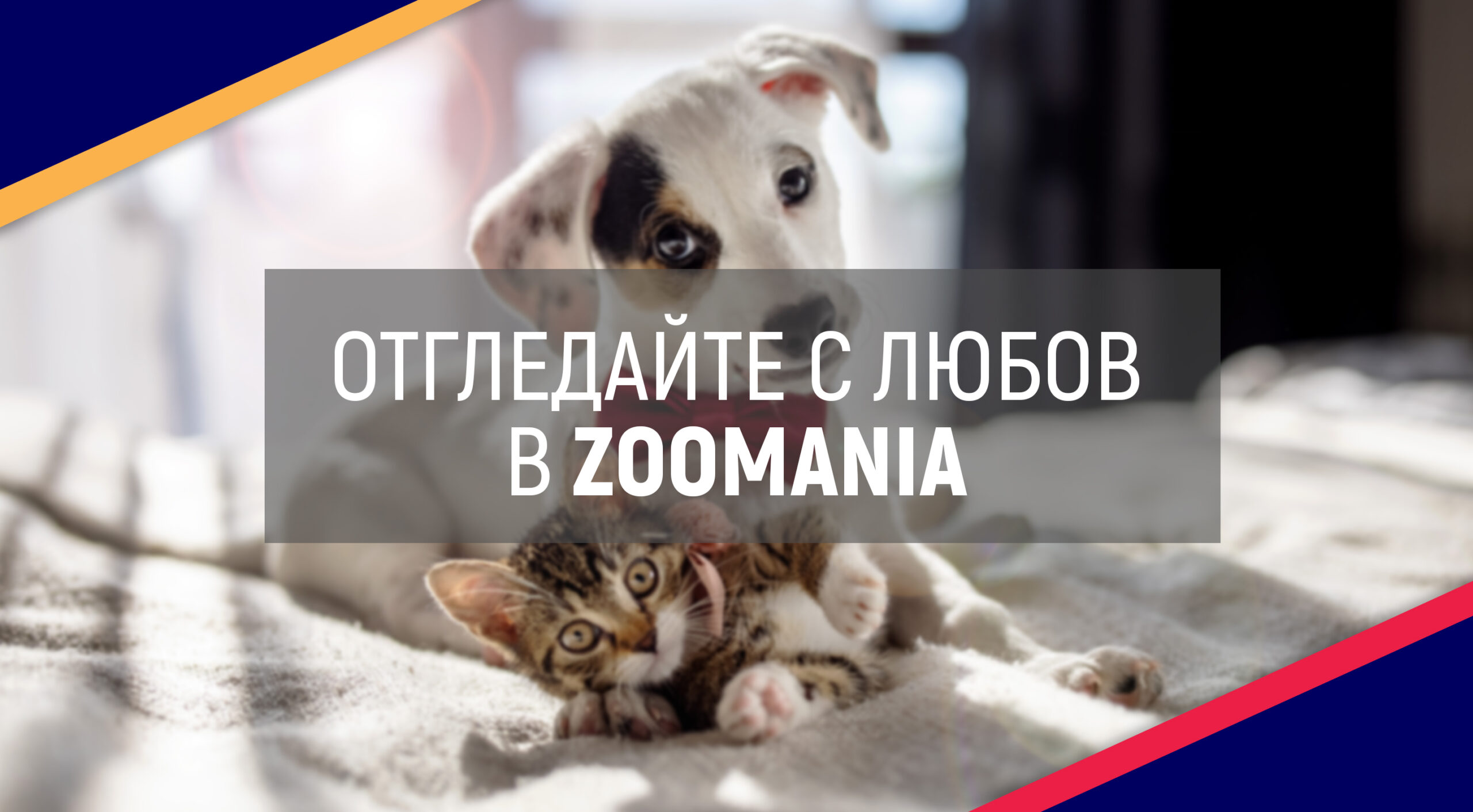 ViaNorth_Article_Cover_Pets_July_2023